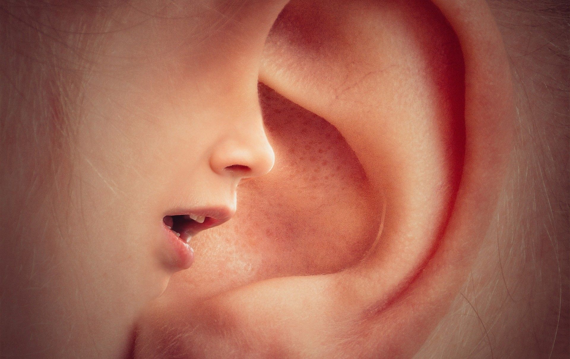 Audiologia “Dulbecco”, giornata dedicata ai test audiometrici gratuiti