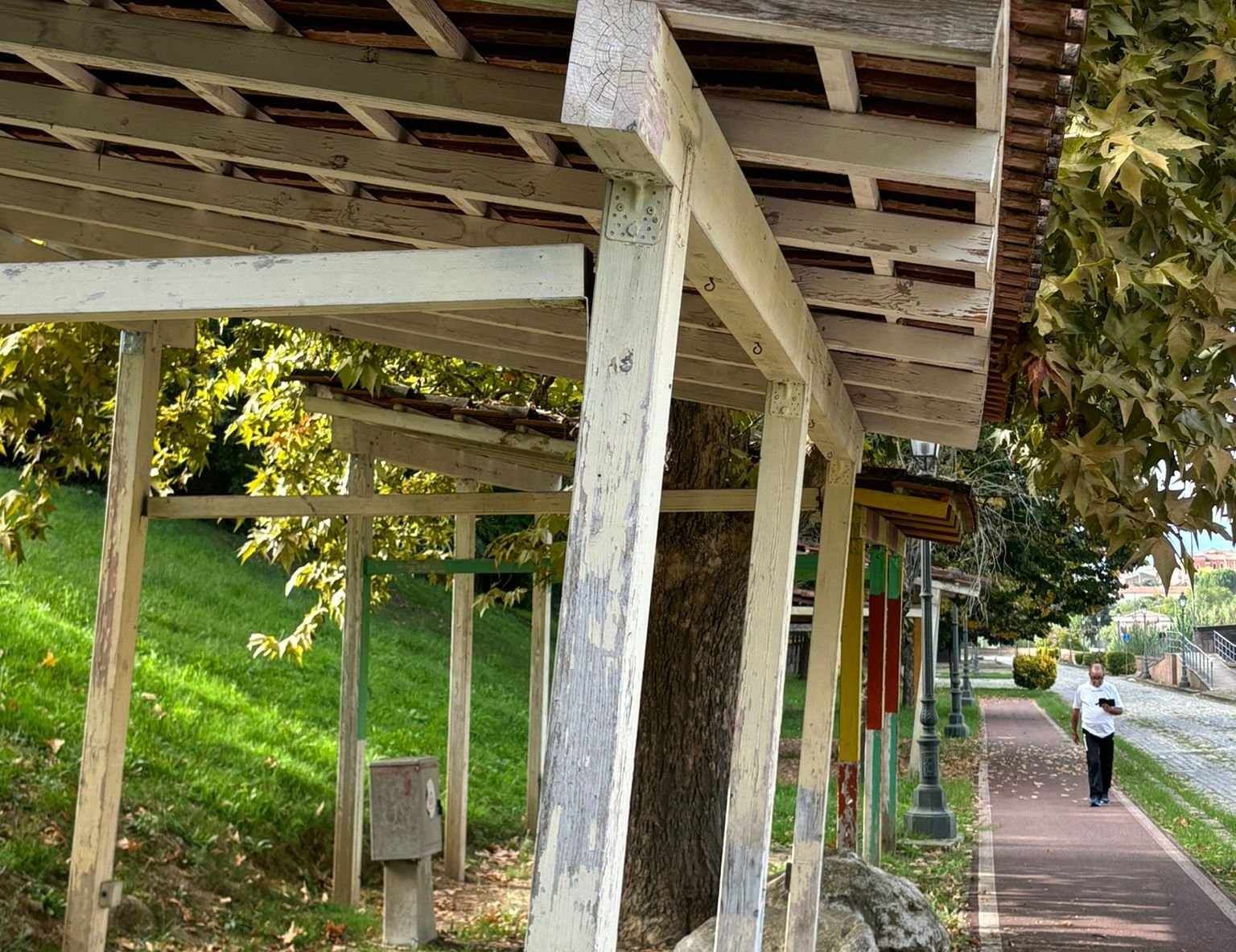 BocsArt, Costanzo replica al centrodestra: «Sono il risultato della loro incapacità amministrativa»