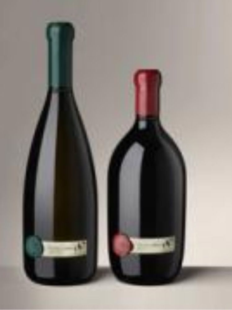 La Movida di Reggio cancella le norme anti-Covid – VIDEO