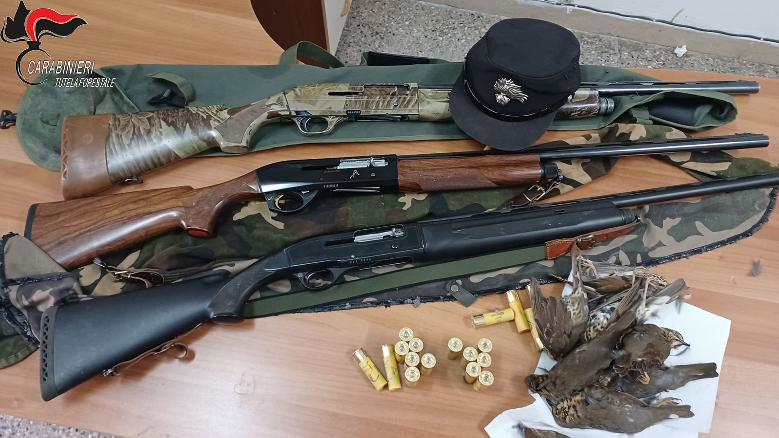 A caccia di specie in periodo non consentito, tre denunce