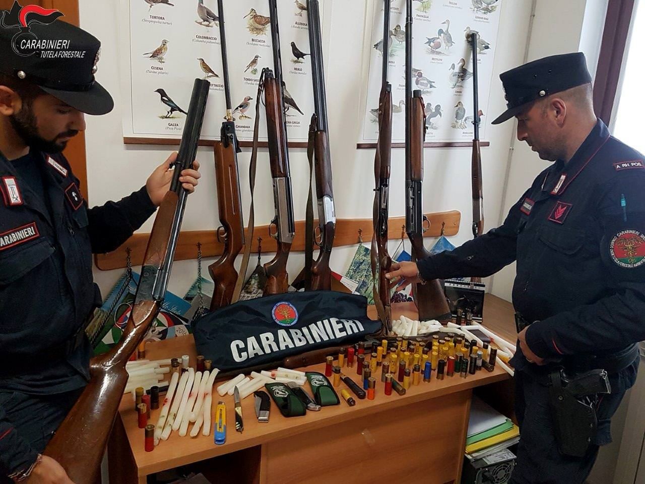 Boschi distrutti dal fuoco ad Albidona: arrestato un 54enne