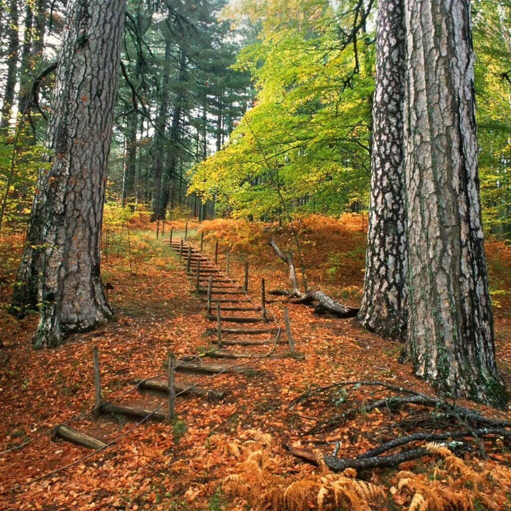 Spezzano della Sila è la porta di un mondo che non ha fretta