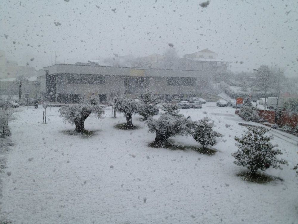 Nevica su tutta la Regione Domani scuole chiuse a Cosenza