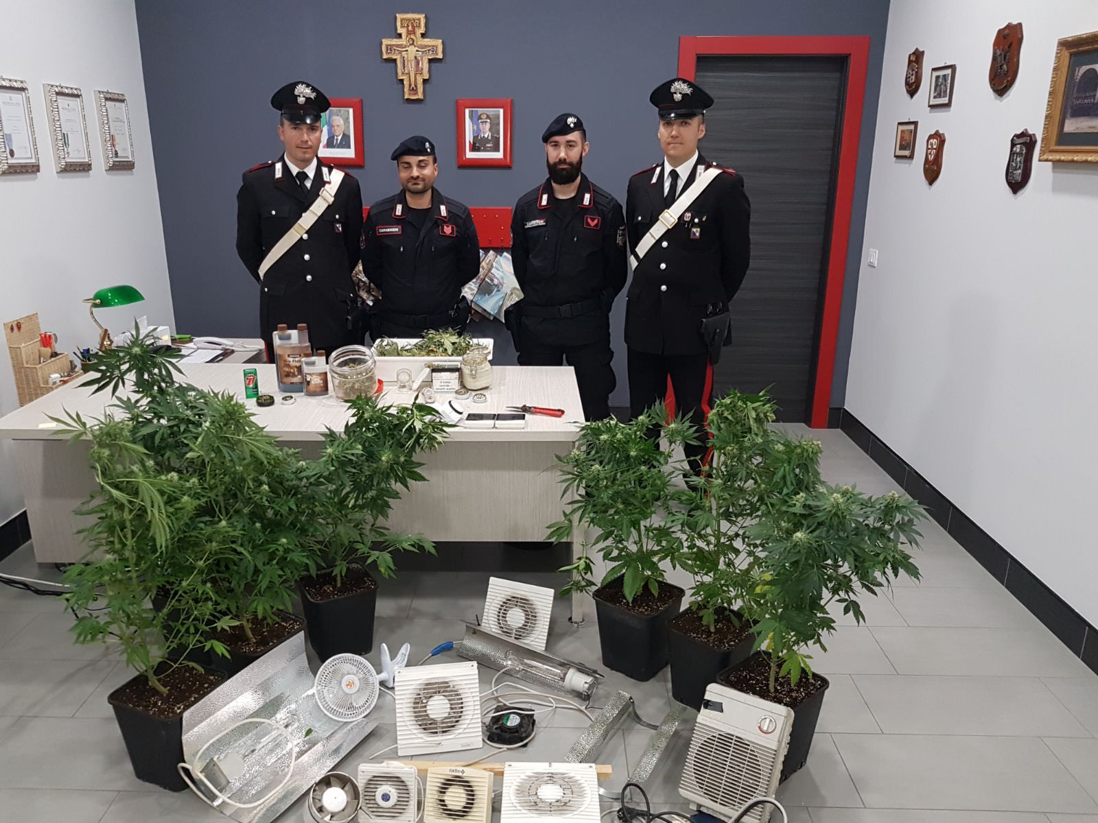 Coltivava piante di marijuana nel sottotetto, arrestato