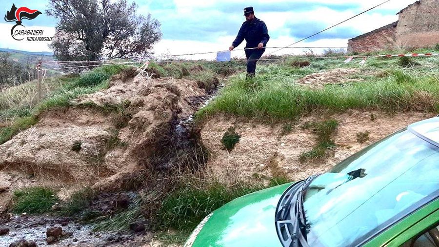 I reflui di un allevamento di suini in un torrente nel Cosentino: tre denunce – VIDEO