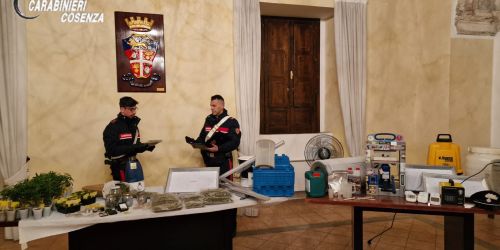 marijuana_castrovillari