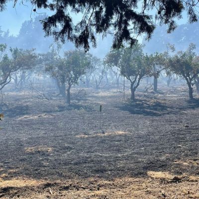 Incendi nella proprietà di Doris Lo Moro, la solidarietà della Cgil