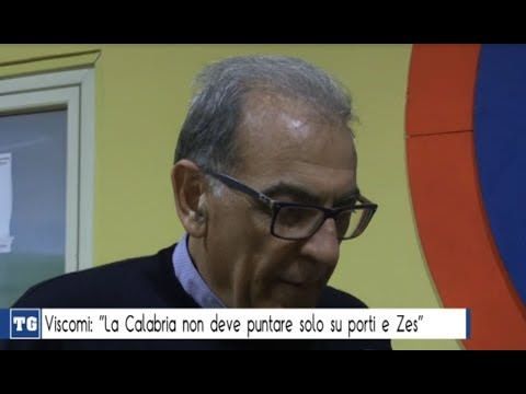 Pd, Viscomi: «Zes è investimento e occupazione»