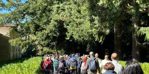 Il “Serreinfestival” punta su trekking e Forest Bathing per valorizzare la montagna