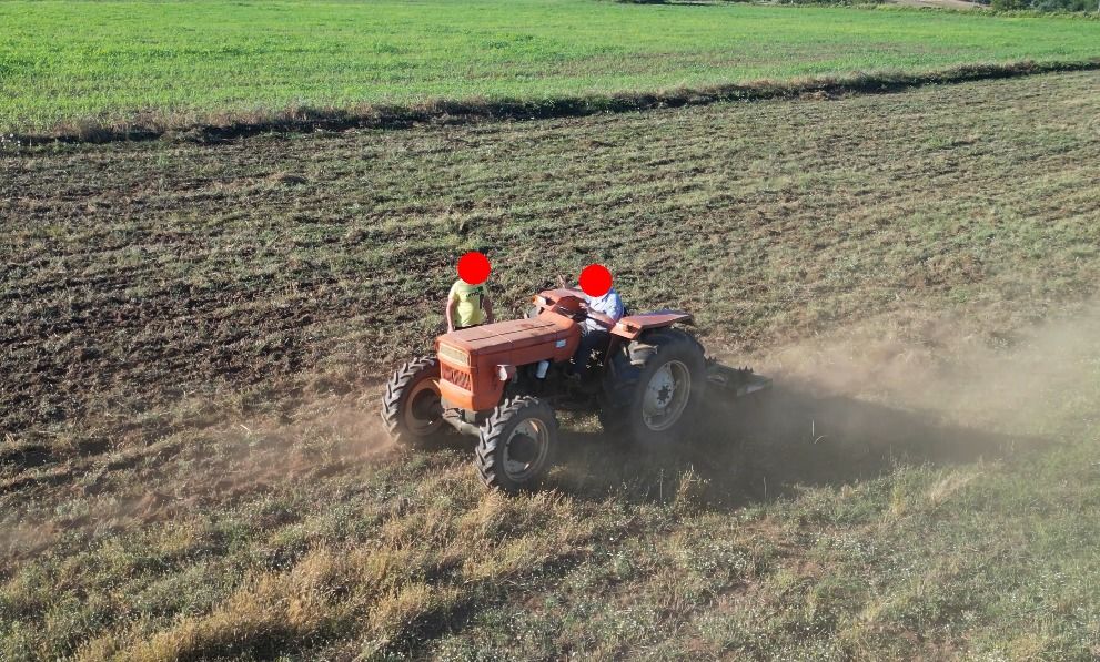 Il vecchio e il bambino presi con le mani del fuoco, emigranti che non tornano e rivoluzioni “politichesi”