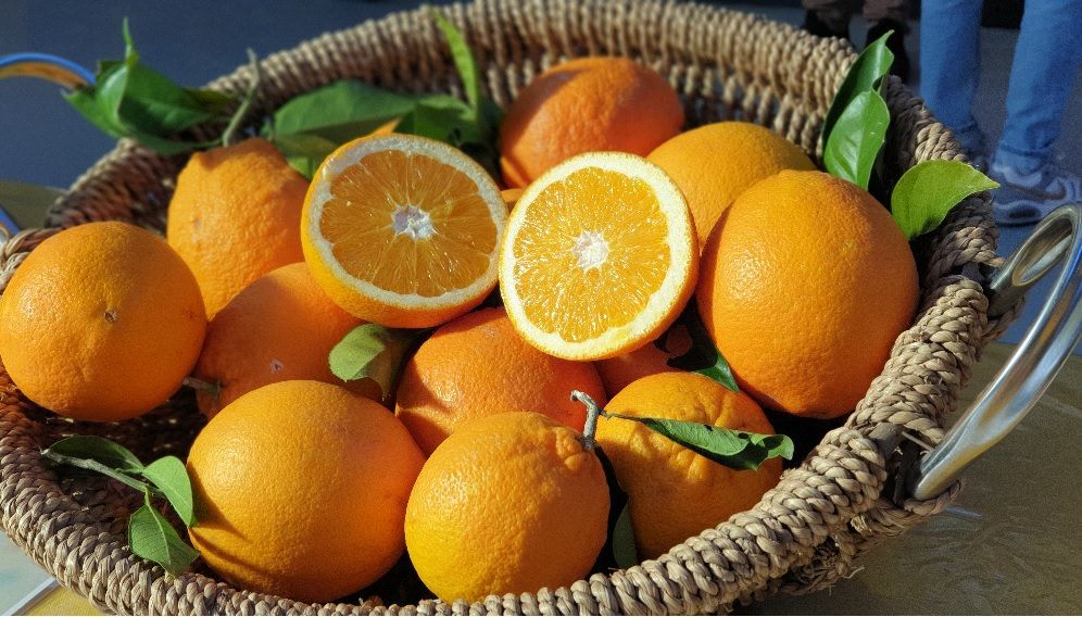 Muccino, i calabresi “spremuti” come agrumi e le (vere) emergenze