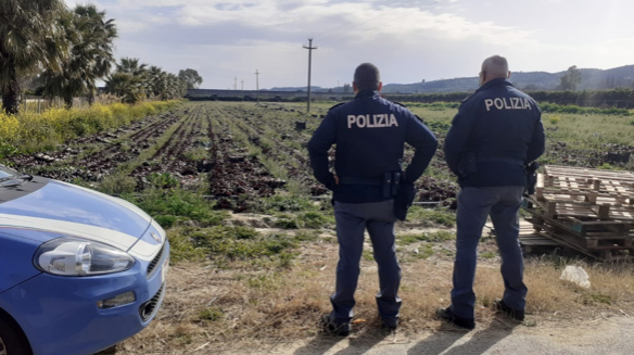 Crotone, controlli in azienda agricola: sei multe a lavoratori senza green pass