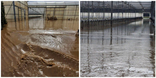 alluvione_aziende_lametino