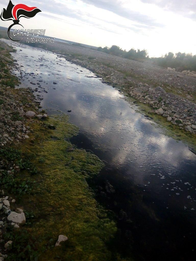 Osservatorio acque marine, Arpacal accoglie l'appello di Legambiente