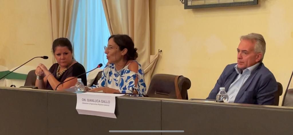 Gallo: «Cauto ottimismo sulla ripresa del mondo agricolo»