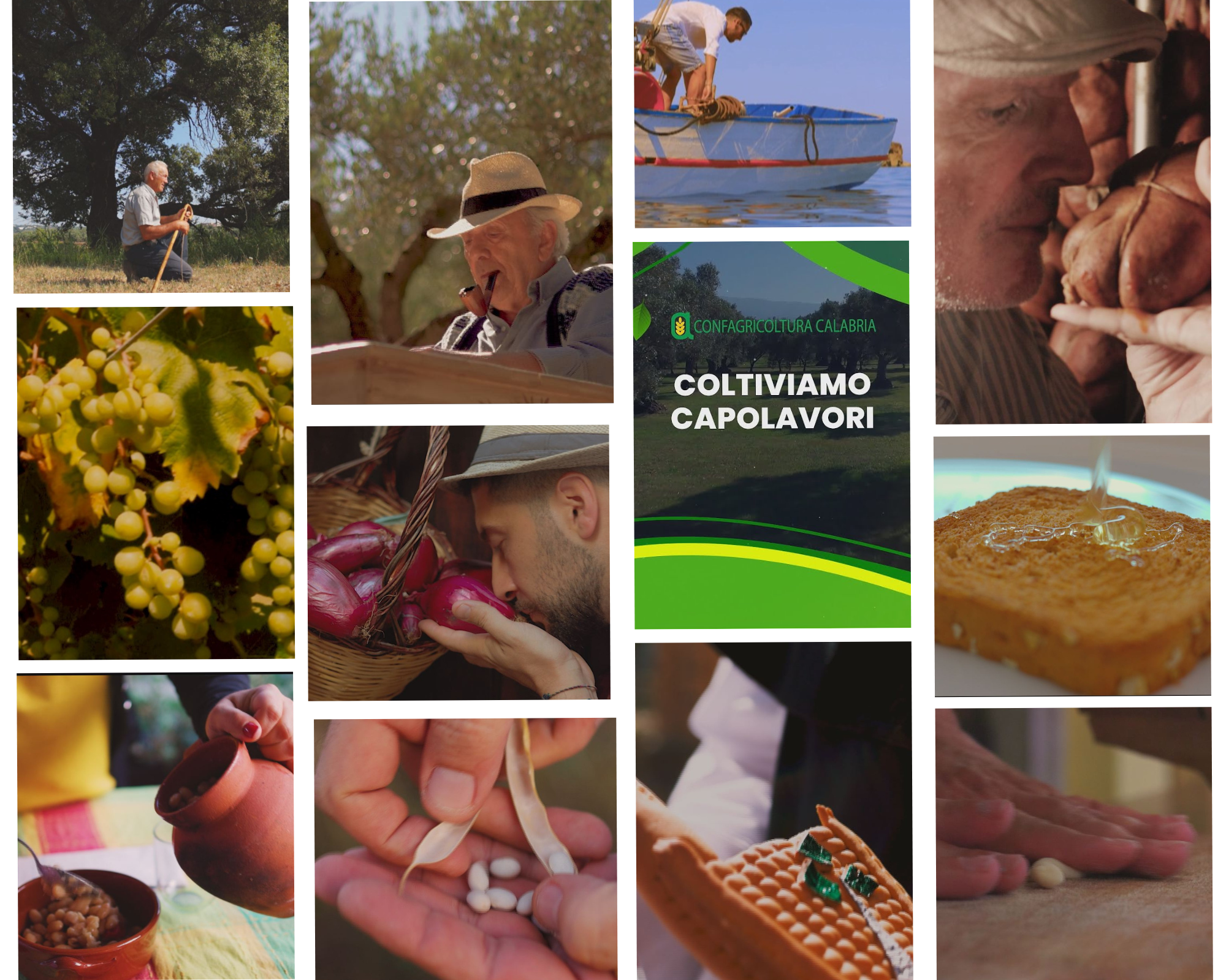 Statti: «In Calabria, coltiviamo capolavori»