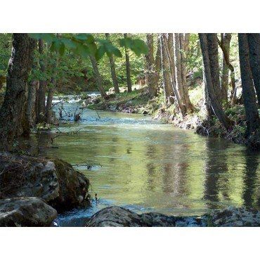 Gli studenti dell'Unisg alla scoperta del Reventino