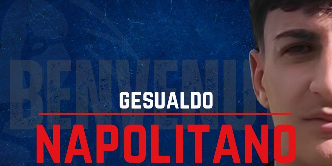 L’attaccante Gesualdo Napolitano è un nuovo attaccante della Vibonese