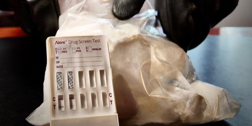 cocaina auto cosenza a2