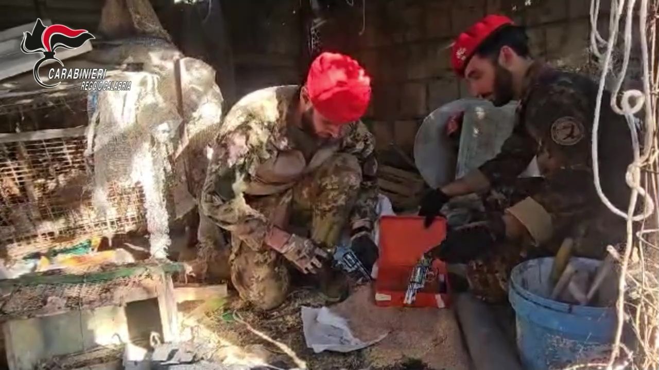 Maxi sequestro nel Reggino, scoperto un arsenale da guerra: sei persone denunciate – VIDEO