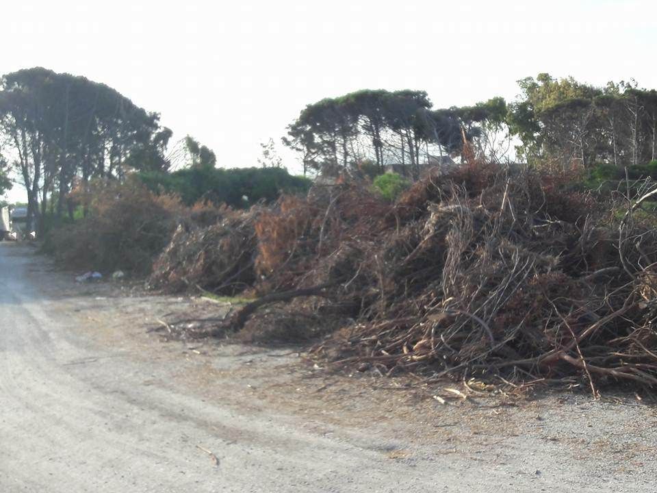 Lamezia, se il consigliere di maggioranza inaugura un'area "sequestrata"