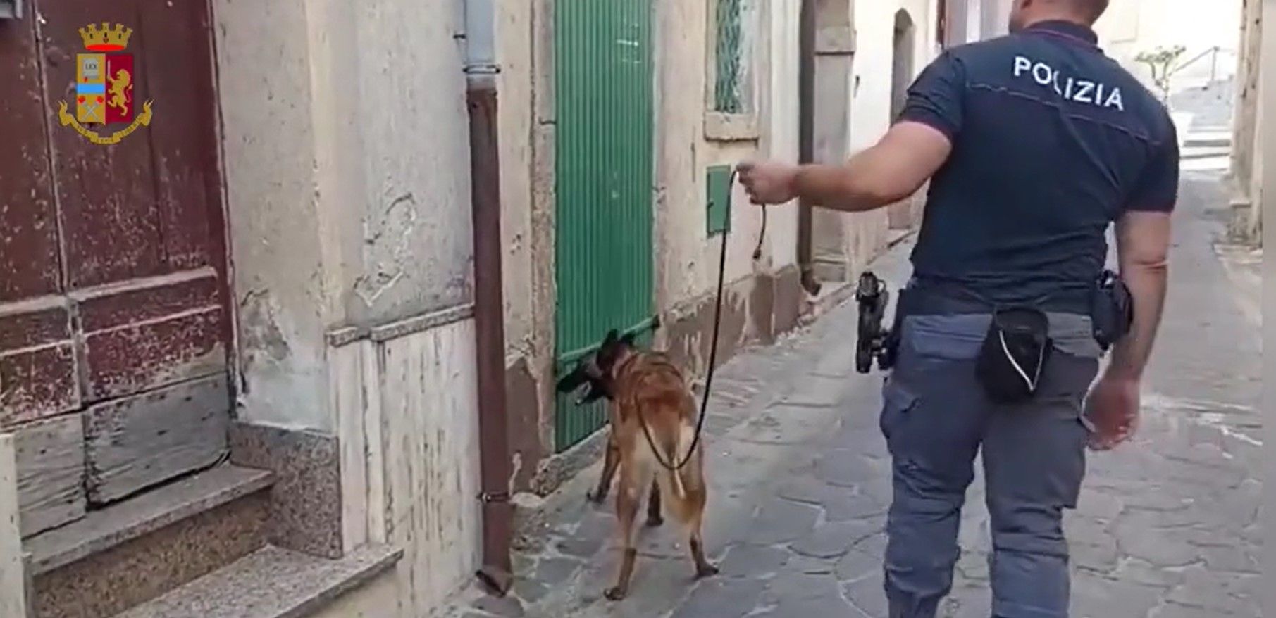 Droga e munizioni nascosti in casolari del Vibonese, avviate le indagini