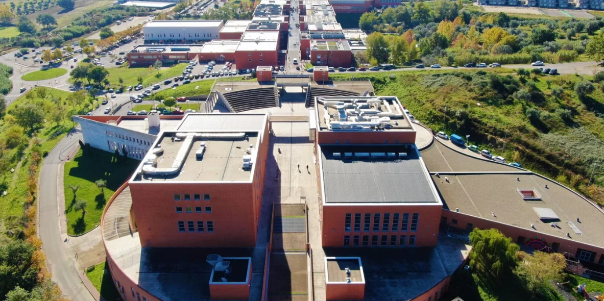 Unical, 8 mila studenti beneficeranno della borsa di studio