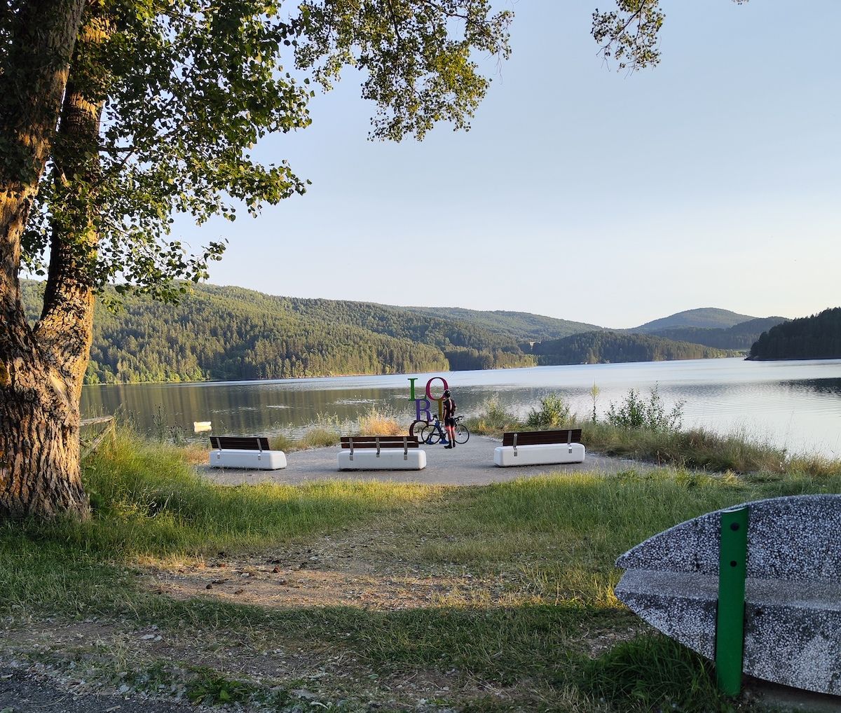 Orgoglio, tenacia e intelligenza. La rivoluzione (giovane) di Lorica – FOTO