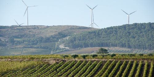pale-eoliche-vigneti-cirò