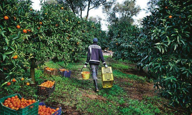 Confcooperative: l'attenzione di Martina è importante