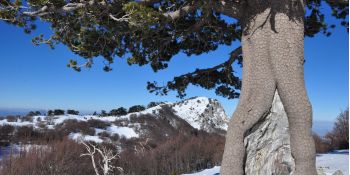 Calabria in bilico (come tutto il Bel Paese), fra tutela e distruzione del paesaggio
