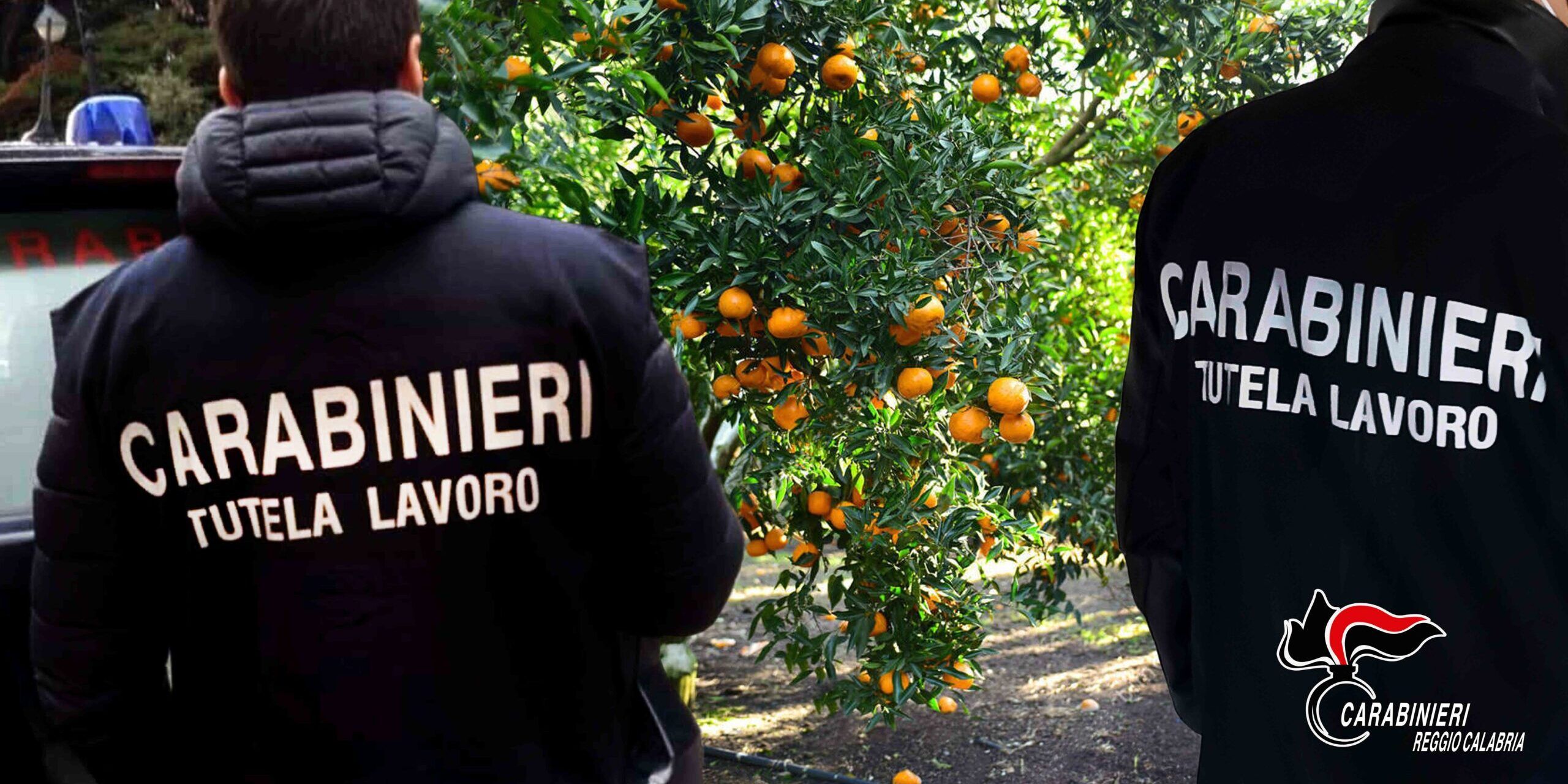 Reggio, arrestati un imprenditore e tre caporali: sfruttavano i braccianti