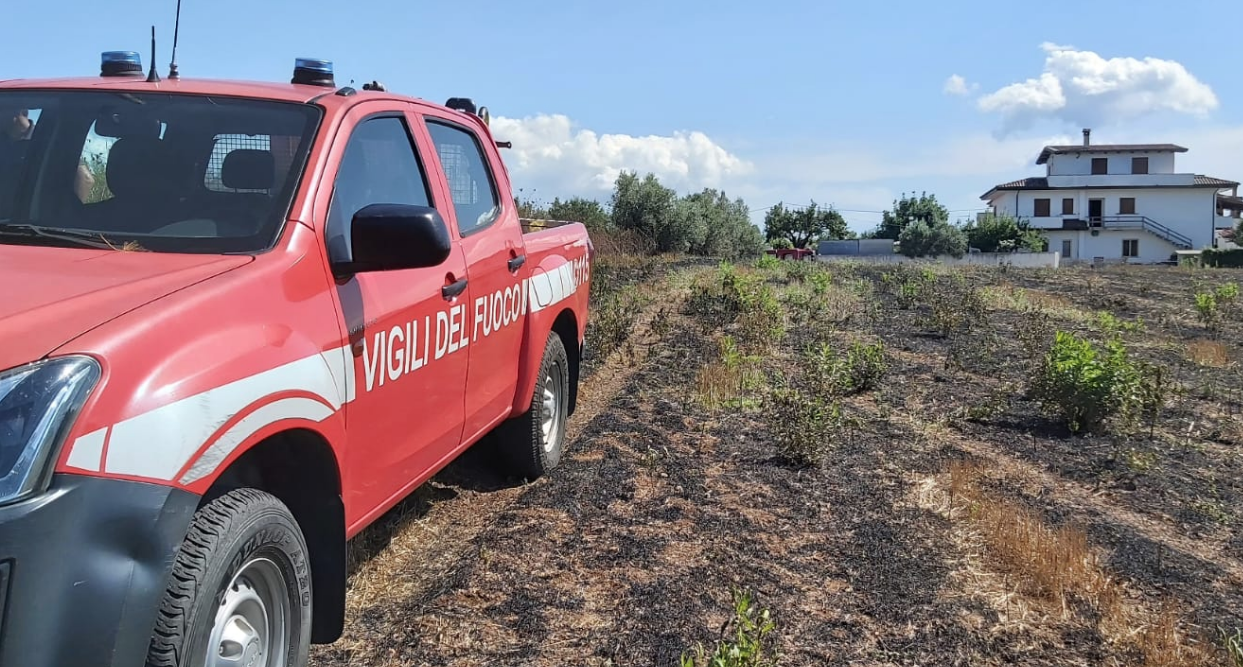 Uliveto in fiamme nel Vibonese, salvato un 93enne