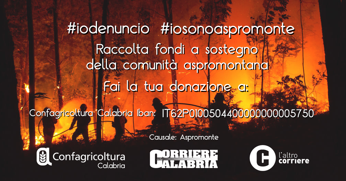#iosonoAspromonte e #iodenuncio, due hashtag e una raccolta fondi per reagire alle fiamme assassine