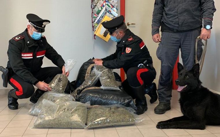 Cetraro, sorpresi in casa con oltre 15 chili di marijuana