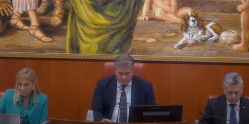 consiglio-regionale-31-gen-2024-mancuso