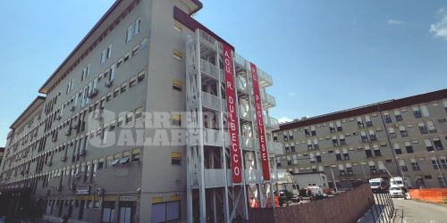 dulbecco pugliese catanzaro