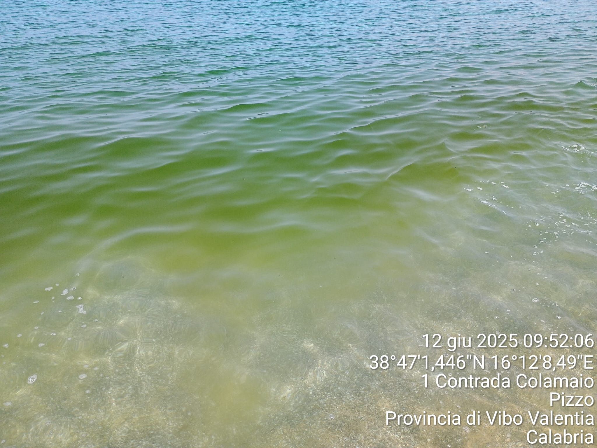 Pizzo, Arpacal rassicura: mare verde per la crescita di microalghe