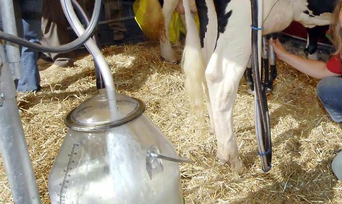 Prezzo del latte, Statti e Zurlo: «Puntare sulla valorizzazione del Pecorino Dop»