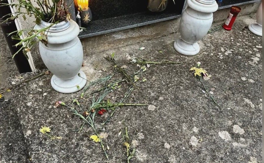 Un gregge di pecore devasta i cimiteri di Magli e Casole Bruzio
