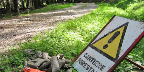 truffa calabria verde