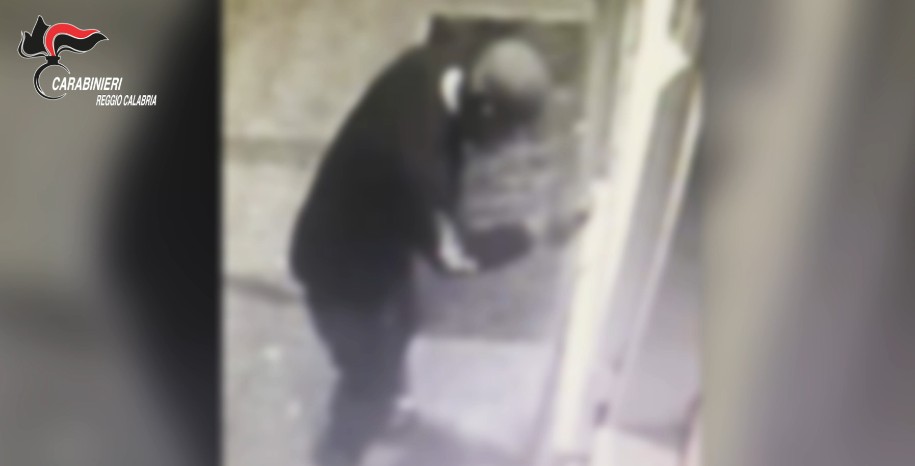 Imbratta l’Accademia di Belle Arti di Reggio, denunciato un 34enne – VIDEO