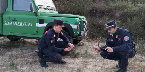 bracconiere parco della sila