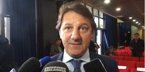 pasquale-tridico-inps