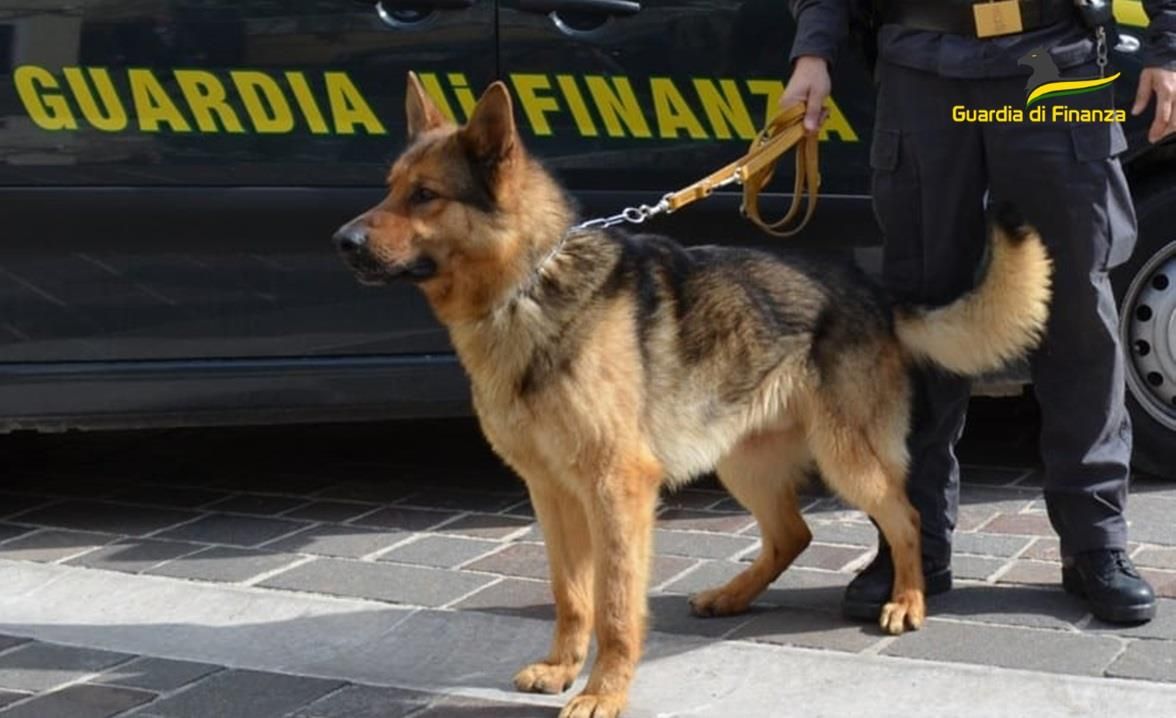 In auto con coca per 500mila euro, arrestato 35enne a Tarsia