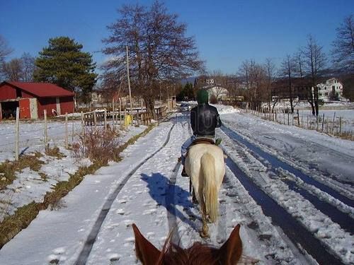 Armi e munizioni in un maneggio, titolare in manette