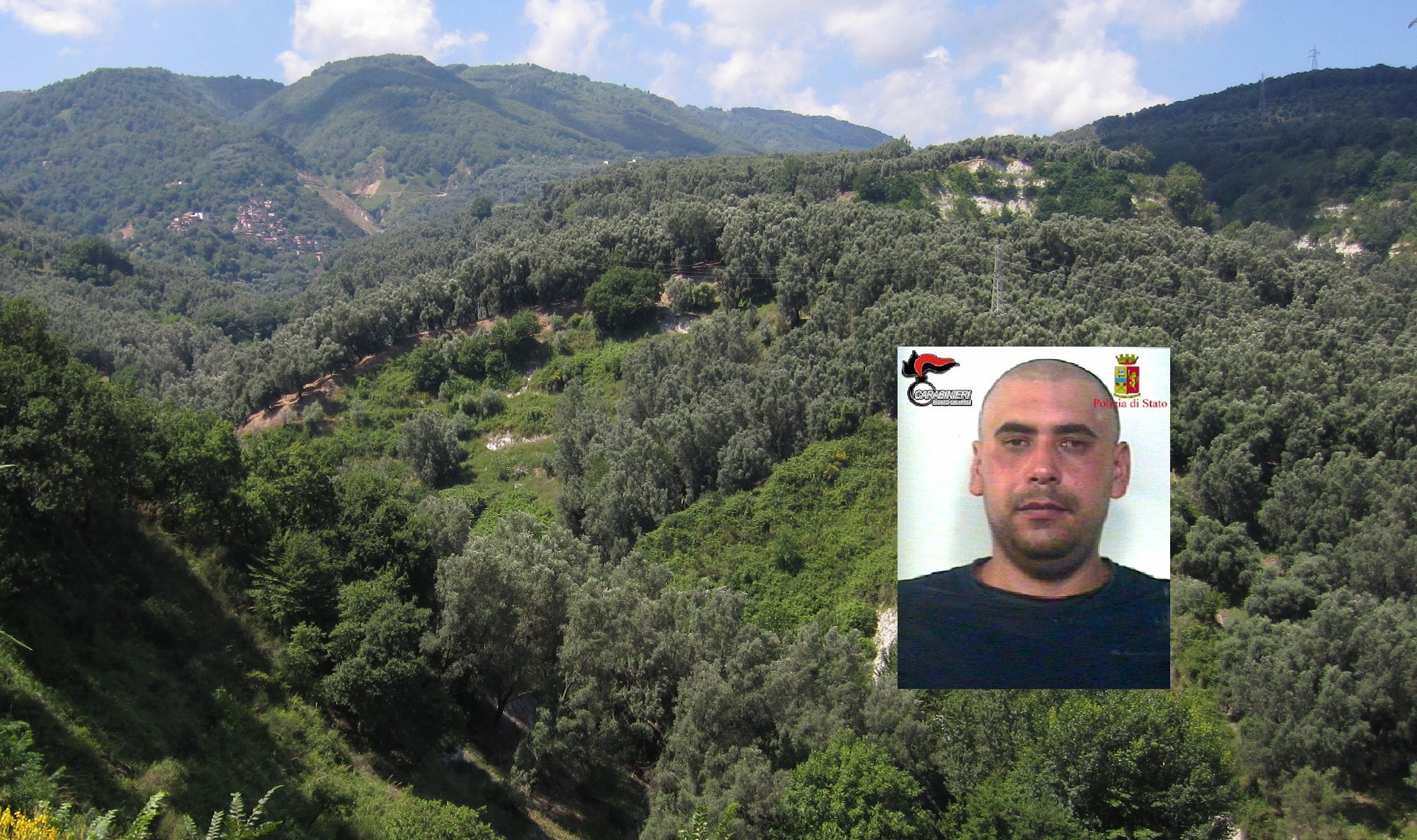Latitante arrestato mentre coltivava marijuana – VIDEO