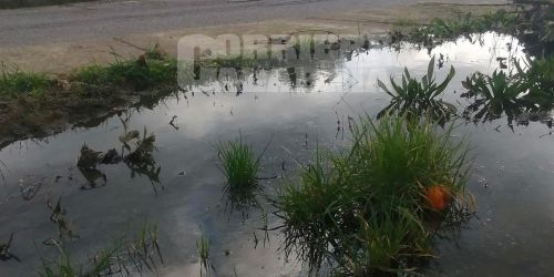 Fogna ospedale lamezia rom