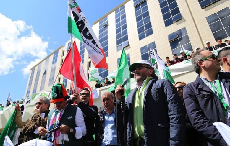 Olivicoltura, Statti: «Scendiamo in piazza per difendere il futuro della Calabria»