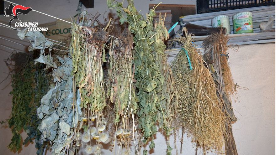 Lamezia Terme, deteneva due chili di marijuana: arrestato 42enne